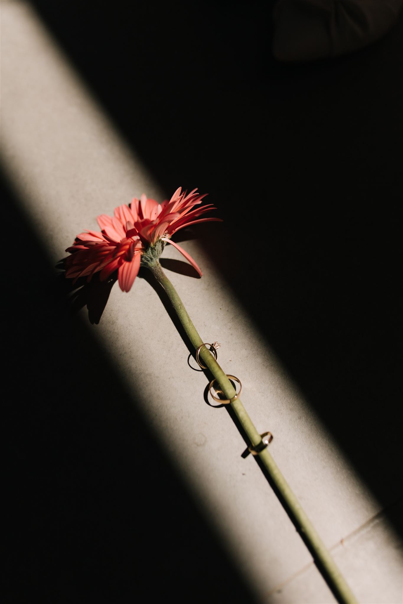 Ester&Paulo – Casamento – Goiânia-GO